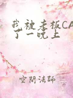 我被老板CAO了一晚上