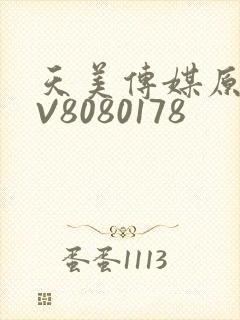 天美传媒原创MV8080178