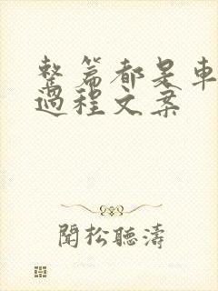 整篇都是车的肉过程文案