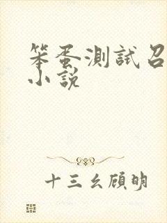 笨蛋测试召唤兽小说