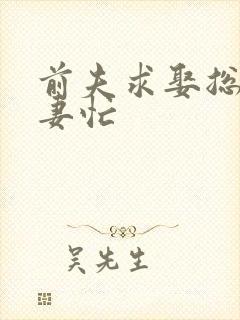 前夫求娶总裁追妻忙