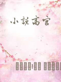 小说高官