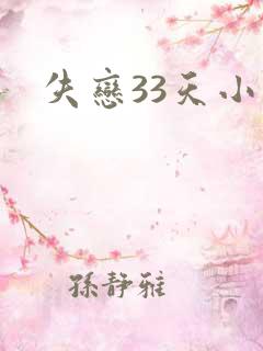 失恋33天小说