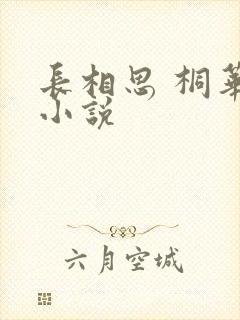 长相思 桐华 小说