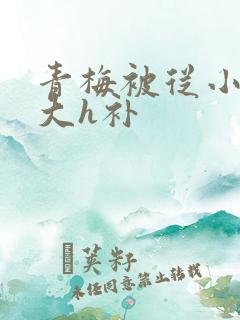 青梅被从小摸到大h补