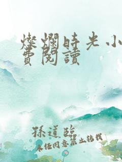 灿烂时光小说免费阅读