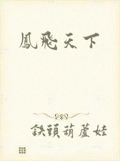 凤飞天下