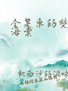 全是车的双男主海棠