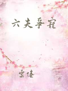 六夫争宠