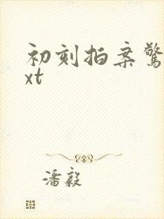 初刻拍案惊奇txt