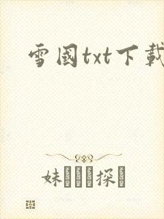 雪国txt下载