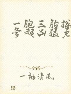 一胞三胎总裁爹爹超凶猛免费阅读