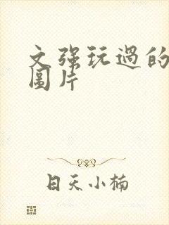 文强玩过的女人图片