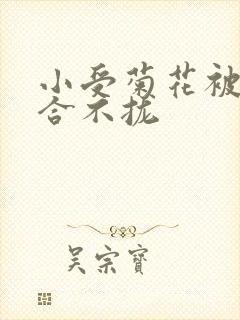 小受菊花被双龙合不拢