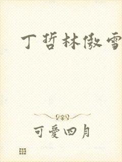 丁哲林傲雪小说