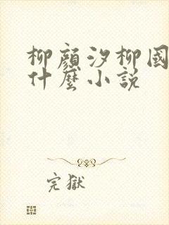 柳颜汐柳国安是什么小说