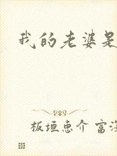 我的老婆是太妹