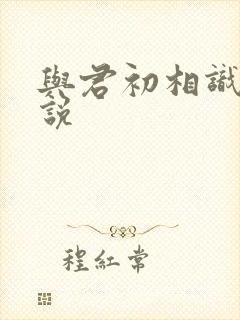 与君初相识 小说