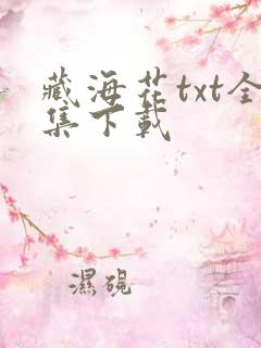 藏海花txt全集下载