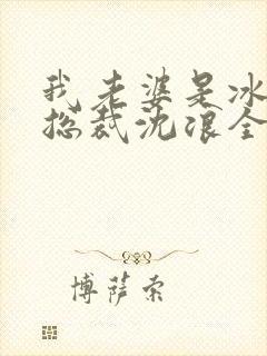 我老婆是冰山女总裁沈浪全集