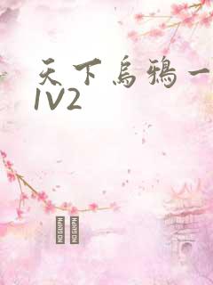 天下乌鸦一般黑1V2