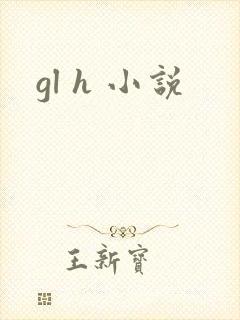 gl h 小说