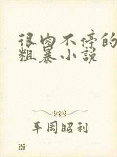 很肉不停的做很粗暴小说