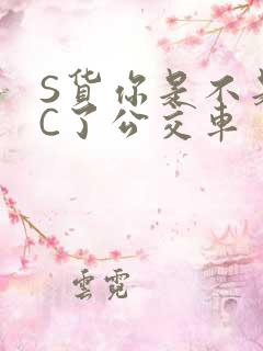 S货你是不是欠C了公交车