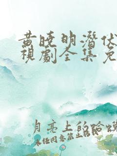 黄晓明潜伏者电视剧全集免费观看