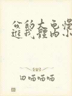 公的大龟慢慢挺进我体内小说