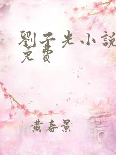 刘子光小说全文免费