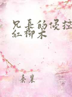 兄长的侵控by红柳木