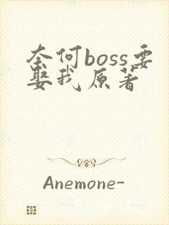 奈何boss要娶我原著