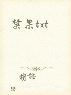 禁果txt