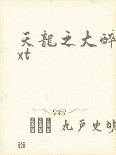 天龙之大醉侠txt