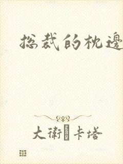 总裁的枕边甜妻