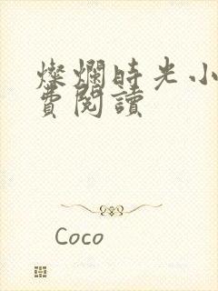 灿烂时光小说免费阅读