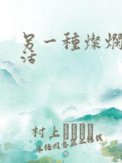 另一种灿烂的生活