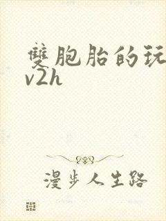 双胞胎的玩具1v2h