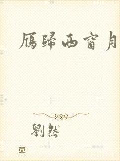 雁归西窗月小说