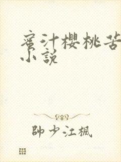 蜜汁樱桃苦咖啡小说