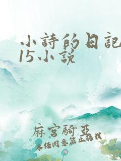 小诗的日记1一15小说