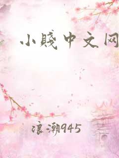 小贱中文网
