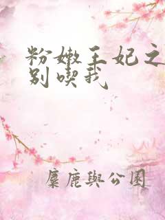 粉嫩王妃之殿下别吃我