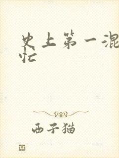 史上第一混乱刘忙