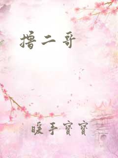 撸二哥