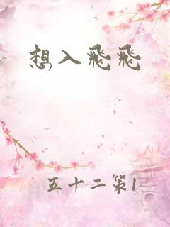 想入飞飞