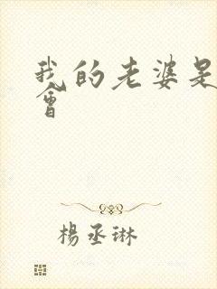 我的老婆是黑社会