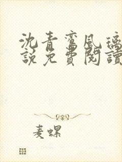 沈青鸾风璃宸小说免费阅读