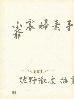 小寡妇素手擒四爷